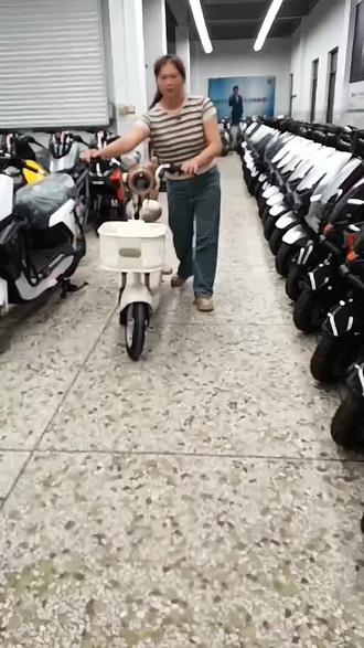 免驾驶证的雅迪电动车