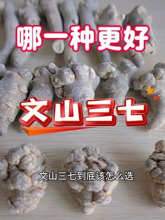 很多叔叔阿姨都知道三七,但是不知道哪一种形状的三七更好? 三七因为形状不同,分为很多种不同规格,看完这个视频就都明白了!#优质农产品 #原产地 #滋补养生 #你的家乡有哪些土特产 #中药材