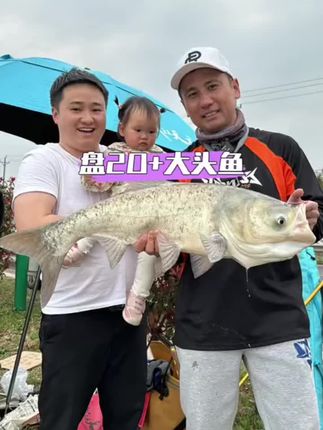 今天又钓了一条大鱼#户外钓鱼