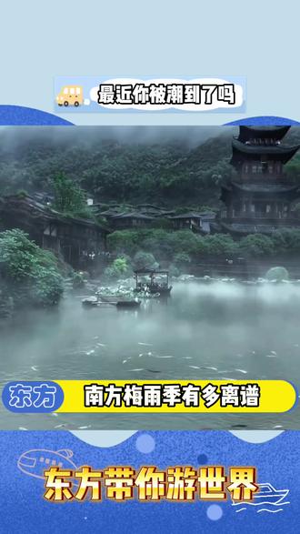 南方梅雨季有多离谱?亚马逊“吗喽”来了都得喊潮!#最近你被潮到了吗 #回南天 #梅雨季