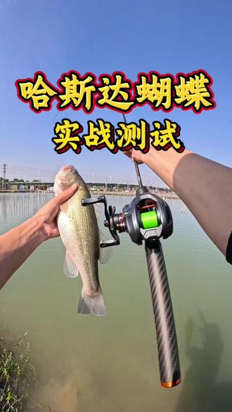 #原来钓鱼才是抖音的运动顶流 #创作者中心 #创作灵感 喜欢玩微物的钓友一定要试试这只哈斯达蝴蝶,它是专门针对微物而生的,配备了全套富士导环,不仅出线顺畅,而且非常灵敏,能轻松感知鱼口。它的杆身是超薄的碳布板压制而成,重量很轻,只有九十四克,搭配三幺六的小轮子简直太合适了,赶紧点击下方链接入手一只吧!#哈斯达蝴蝶富士竿 #哈斯达蝴蝶