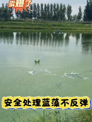 鱼耀生物蓝藻净,安全去除蓝藻,不反复##水产养殖 #高密度养殖 #四大家鱼养殖 #鱼虾蟹养殖 #蓝藻