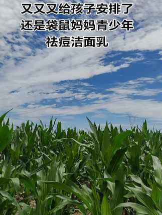 女儿自从上了初中后,小脸总是油乎乎,还长小颗粒!同学妈妈推荐的#袋鼠妈妈青少年洁面乳 真的好用~#袋鼠妈妈 专为青少年设计,植物萃取,控油光,净毛孔,孩子喜欢用,我又又又趁着划算给安排了~#青少年洁面乳好用不贵#学生党好物