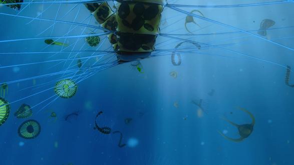 这里存在太多的神秘生物,恐怖的深海世界 #科普 #神奇动物在抖音 #海洋生物