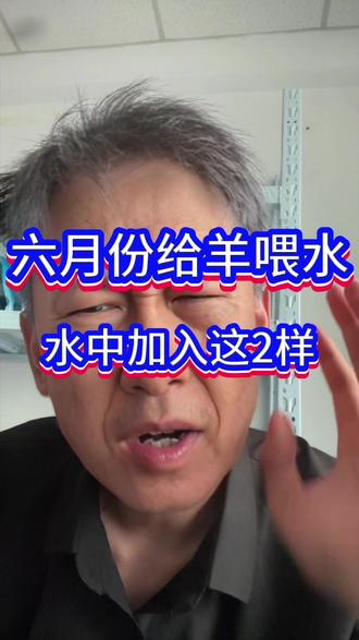 六月给羊喂水 #育肥羊 #超能核心肽 #养羊技术分享 #养羊技术
