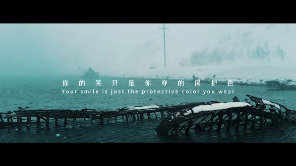 #海底没有四季,你要上岸看一看
