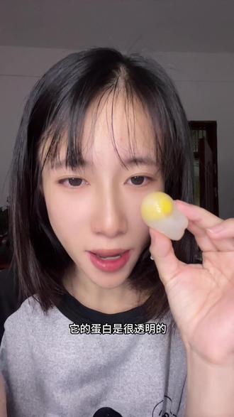 小小鸽子蛋,营养不简单!#鸽子蛋 #鸽子养殖技术 #美食分享 #真实生活分享官#三农流量扶持计划