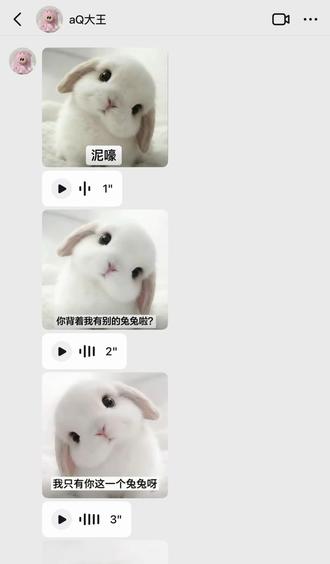 #泥嚎 别背着我有其他的兔兔 呜呜呜