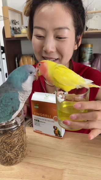 家里有鹦鹉,而没有这款鹦鹉多维补充剂的,那就是对鹦鹉不负责任 #养鹦鹉的女子 #鹦鹉喂养攻略 #鹦鹉必备 #鹦鹉应急