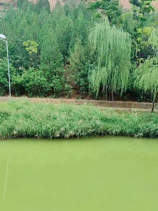 #原创视频 #天然氧吧 #风景如画的地方