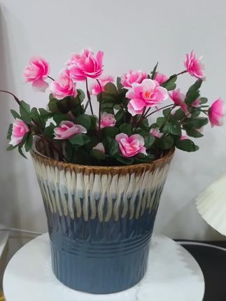 #花盆#爱生活爱养花 #美观实用 #绿植盆栽 #养花人 @巨量千川 @DOU+上热门 @DOU+小助手
