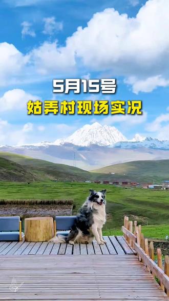 今天是5月15号,我此刻在川西姑弄村的现场,今天温度在8~15°之间,可以看到草甸开始绿了,蓝天雪山,溪流草甸,穿浅色连衣裙,拍照超级出片,是雅拉雪山下的免费露营地。如果你有三天时间,可以和我们一起出发。
-
🚙我们的行程每天都在出发,2-8人组队,特色藏餐,星钻酒店,藏装旅拍都有,带你快乐出行。
-
🚗行程路线:
D1:成都-四姑娘山·双桥沟-丹巴
DAY2:丹巴-亚拉雪山观景台-墨石公园-姑弄村-塔公-鱼子西-新都桥
DAY3:新都桥-高尔寺-434机场路-红海子-木格措景区-成都
#姑弄村 #四姑娘山 #川西旅游 #川西旅游攻略 #川西小团