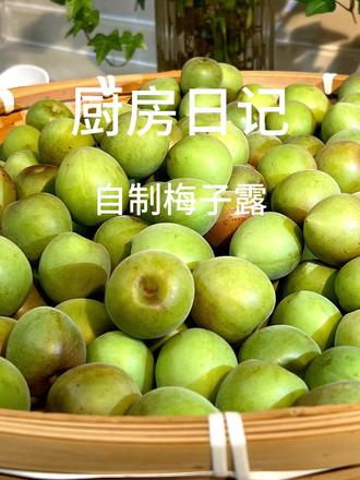 又到青梅季,自制青梅露,酸甜一夏天! 每年必做青梅露,兑上气泡水,酸酸甜甜超级好喝!一定要看到视频结尾哦,附制作方法~~感兴趣的朋友,去试试吧~#自制青梅露 #创作者扶持计划 #我的退休生活vlog日常记录 #每年必做青梅