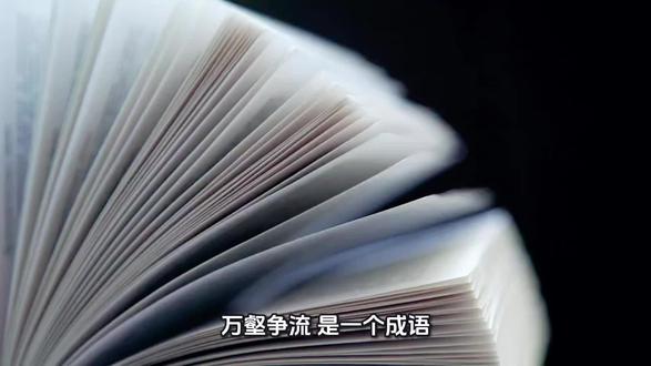 今日学习成语#万壑争流#生肖文化