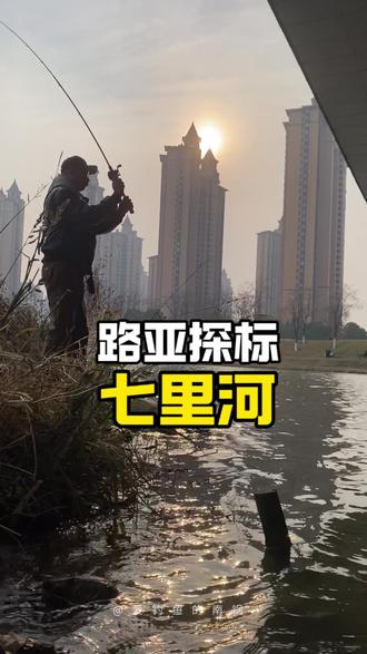 #上热门🔥 路亚探标七里河,是个出鱼的好地方#路亚钓鱼 #路亚鳜鱼 #路亚标点 #南京路亚标点