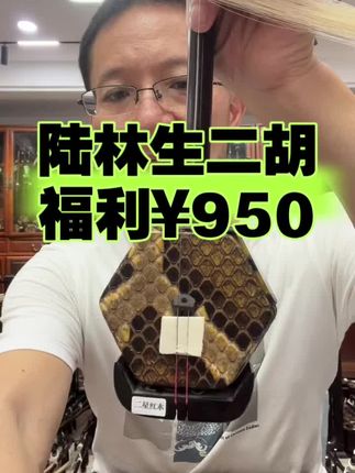 陆林生二胡特选红木王钟林老师精选强烈推荐 #二胡独奏 #民族乐器 #民族乐器演奏 #二胡演奏