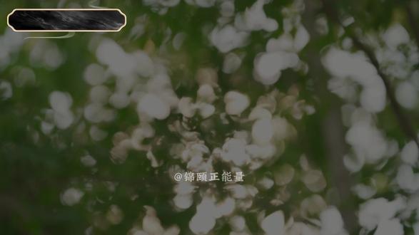 揭秘六大高花青素食物,蓝莓仅排第二?(四) #锦颐正能量 #倪海厦 #花青素 #黑枸杞 #国学智慧