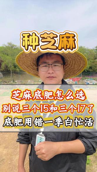 芝麻底肥怎么选,别说三个15和17的了,底肥用错一季白忙活 #芝麻种植 #种芝麻 #芝麻高产 #芝麻种植技术 #芝麻种植高产技术#芝麻种植管理#芝麻种植方法#底肥宝 #土壤活化剂