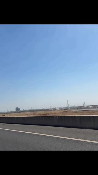 牛逼哄哄放光彩,猫着个个看大海…………