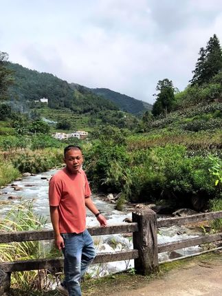 信宜大成北梭甜柿高山果