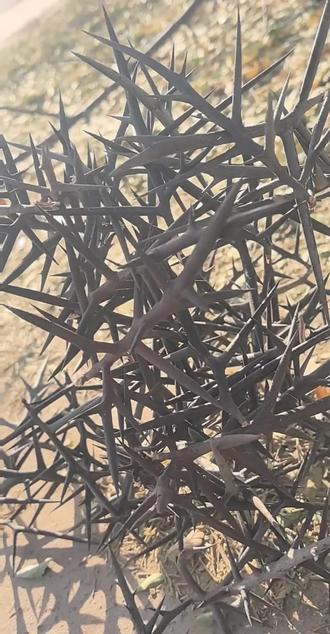 做美食我也是认真的#我的农村生活