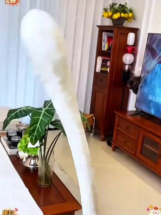 经常久坐不动,低头玩手机,爱生闷气,如果这样表现你都有,那赶紧去试试吧#艾草锤#按摩锤#养生按摩锤 #拍八虚