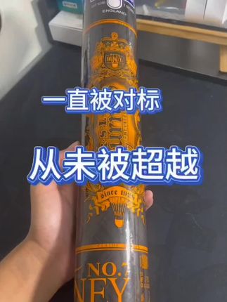 亚狮龙羽毛球RSL sk7号5号俱乐部专业比赛飞行稳定耐打训练球12只#亚狮龙羽毛球
