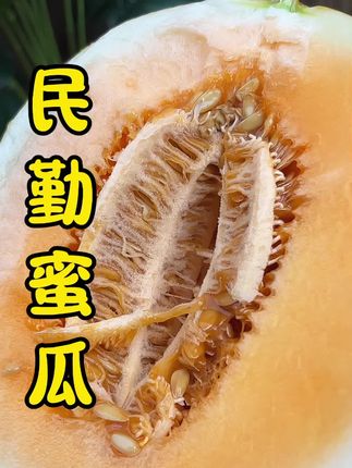 这个来自甘肃民勤的沙漠甜瓜,甜度高、水分足,真的巨香、巨甜、巨好吃#民勤蜜瓜 #民勤甜瓜 #脆甜多汁 #应季水果 #口感特别好