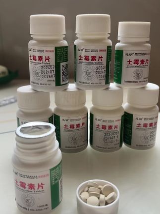 #狗狗#新手养狗#养狗人#好物分享#狗