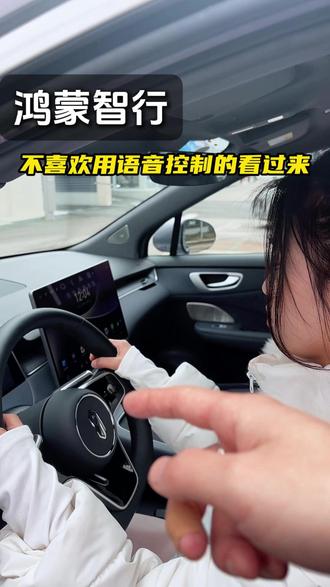 不喜欢用语音的看过来 #尚界H5#尚界H5尚等好车#春节安心行#开尚界马尚发#自定义按键