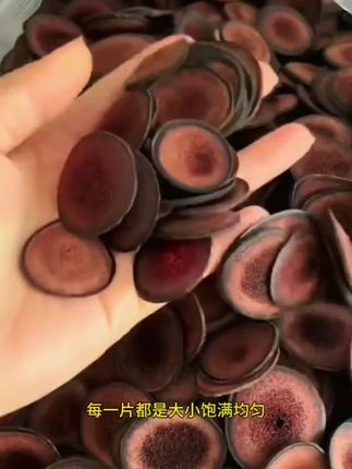 #鹿茸片 #鹿茸#鹿茸的功效