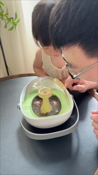 妈呀我女儿每天都要观察小乌龟有没有破壳,太好玩了吧#玩具 #乌龟孵化成长舱 #科学罐头 #龟宠世界 #龟龟之家