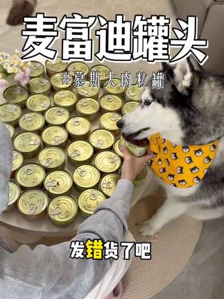 发错货了吧!一箱到手12大罐的170g麦富迪肉粒罐,居然这么划算!#猫罐头 #养猫新手 #吃货猫 #麦富迪肉粒罐头