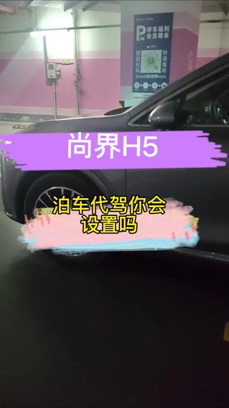 你的小区可以用代客泊车吗#倒车入库技巧 #创作者中心 #创作灵感 #上热门🔥