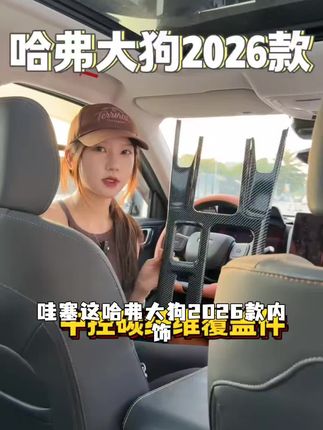 哈弗26新款大狗碳纤纹排挡框中控面板贴ABS内饰改装中央保护套框