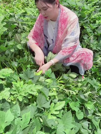 冒得搞手啊#我的乡村生活 #自家种的绿色蔬菜