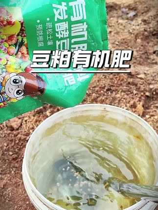 种瓜果蔬菜,想要口感好的,追肥和底肥我只选豆粕有机肥#豆粕有机肥#芝麻饼肥#种菜 #有机种植 #种植小技巧