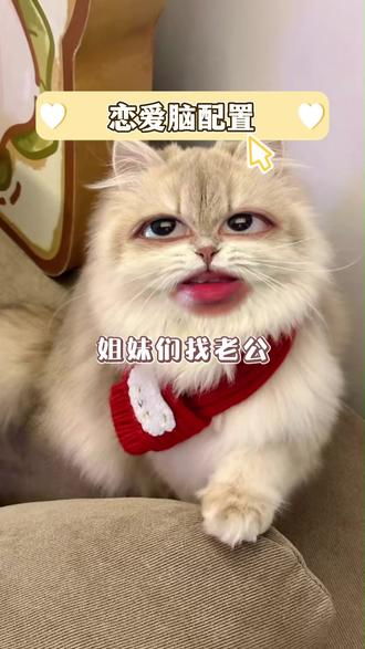 恋爱脑配置 #星盘 #星盘分析 #星座 #情感 #恋爱脑