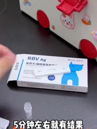 一定要小心避免被猫狗抓伤!因为狂犬病发作死亡率是100%,千万别有侥幸心理!#狂犬病 #被猫咬了 #被猫抓伤 #狂犬检测 #狂犬疫苗