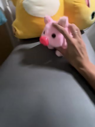 好可爱的小猪(^🐽^)