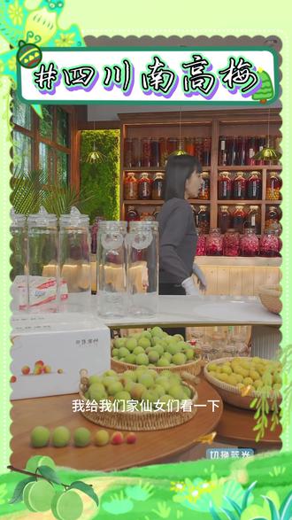 南高梅四川大邑引进正宗大邑青梅优异品种泡酒酵素青梅露 #四川南高梅 #南高梅 #青梅 #梅子 #好物推荐 @DOU+小助手 @DOU+好生意
