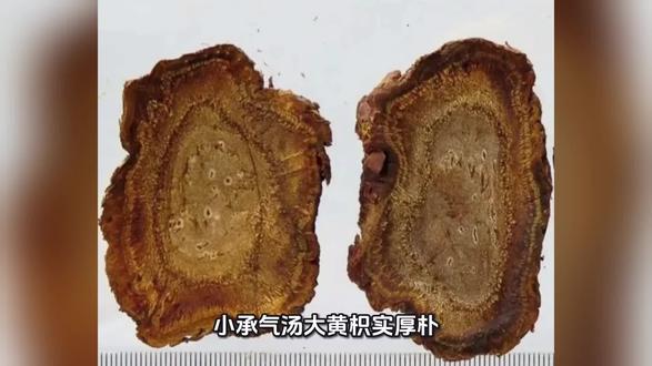 #传递健康正能量 #创作者中心 #创作灵感 小承气汤(大黄枳实厚朴)便秘,能吃东西,大便不干,汗多,小腹胀满,肚脐下,中级穴关元穴一带胀满,小肠受堵,放屁比较多,有时微发热,脉滑而虚,就可以用小承气汤,厚朴宽肠,枳实润泽肠子,大黄把大便攻出去。