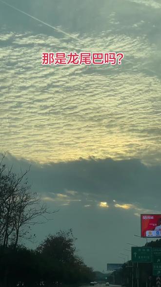 看到👀🐲龙吗?#真龙大地现真身