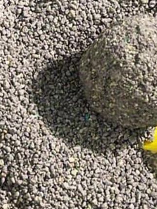 提野星仓鼠尿砂浴沙二合一除臭洗澡去油金丝熊厕所垫料钠基矿用品#仓鼠浴沙尿沙二合一 #仓鼠用品 #新手养鼠指南 #仓鼠