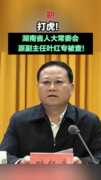 打虎!湖南省人大常委会原副主任叶红专被查!
