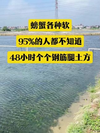 #螃蟹养殖#河蟹养殖#大闸蟹养殖#聚强粉#快速硬壳硬腿