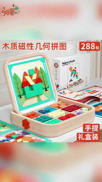 288片木质磁力拼图七巧板几何积木益智力早教玩具3-6岁儿童开发#儿童益智玩具 #木质拼图 #七巧板积木 #早教玩具 #36岁儿童