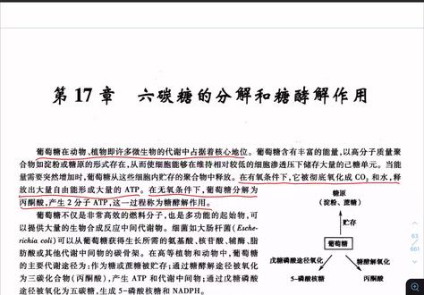 2027考研《生物化学》领学课 第十七章糖酵解-1 有需要圈画版PDF或者完整视频的同学可以私信我领取哟~
欢迎小伙伴们在评论区反馈对于课程的意见!
每周更新3节!
#生物学 #生物学考研 #生物化学第四版朱圣庚 #27考研 #朱圣庚生物化学