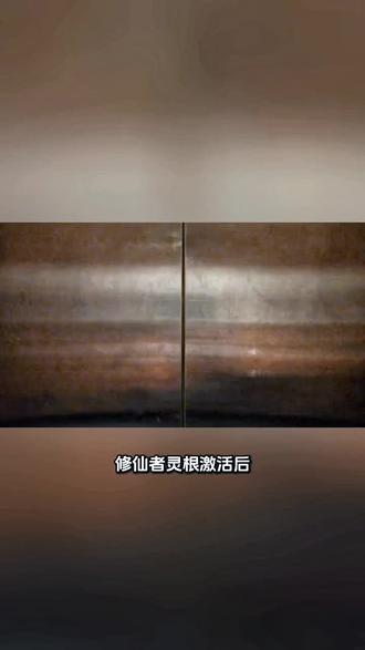 修仙者灵根激活后,属性提升主要体现在以下几个方面: