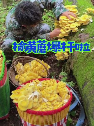 #优质农产品 #强烈推荐 #抖音推广 #快来围观 #新鲜农产品